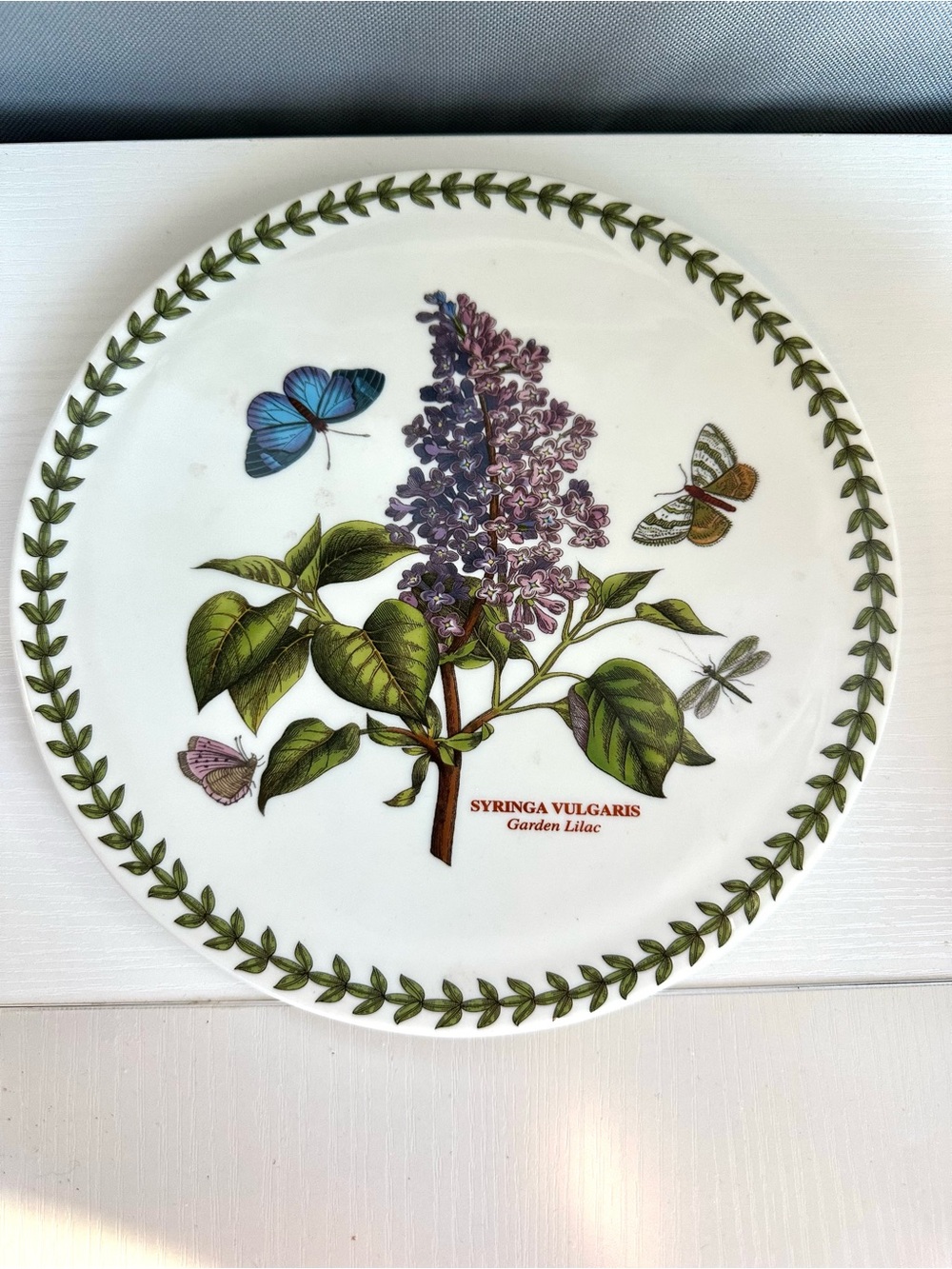 Portmeirion Botanic Garden Garden Lilac 9” Ceramic Trivet EUC